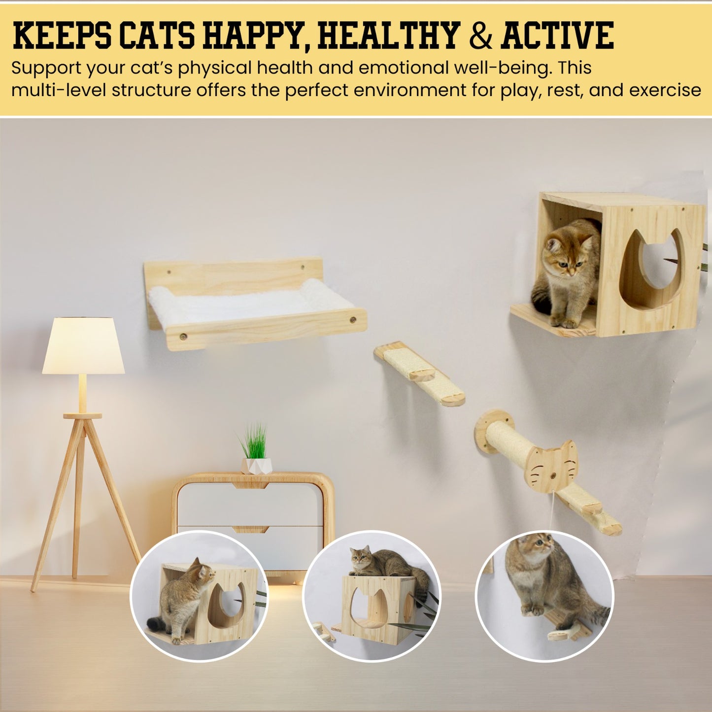 Cat Wall Mounted Playground Set – 6 Piece Pine Wood Activity Center