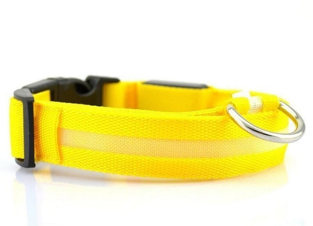 USB Rechargeable LED Dog Collar — Safety Light-Up Pet Collar for Night Walks