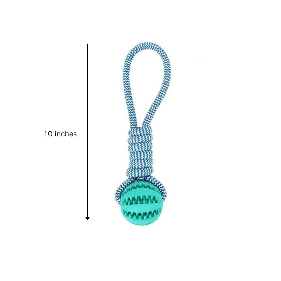 3-Pack Squeaky Toothbrush & Rope Ball Dog Chew Toys — Dental & Play Set