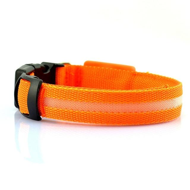 USB Rechargeable LED Dog Collar — Safety Light-Up Pet Collar for Night Walks
