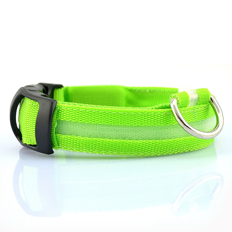 USB Rechargeable LED Dog Collar — Safety Light-Up Pet Collar for Night Walks
