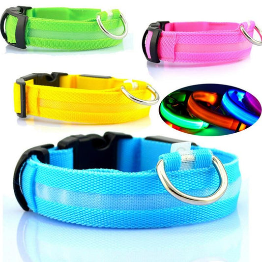 USB Rechargeable LED Dog Collar — Safety Light-Up Pet Collar for Night Walks