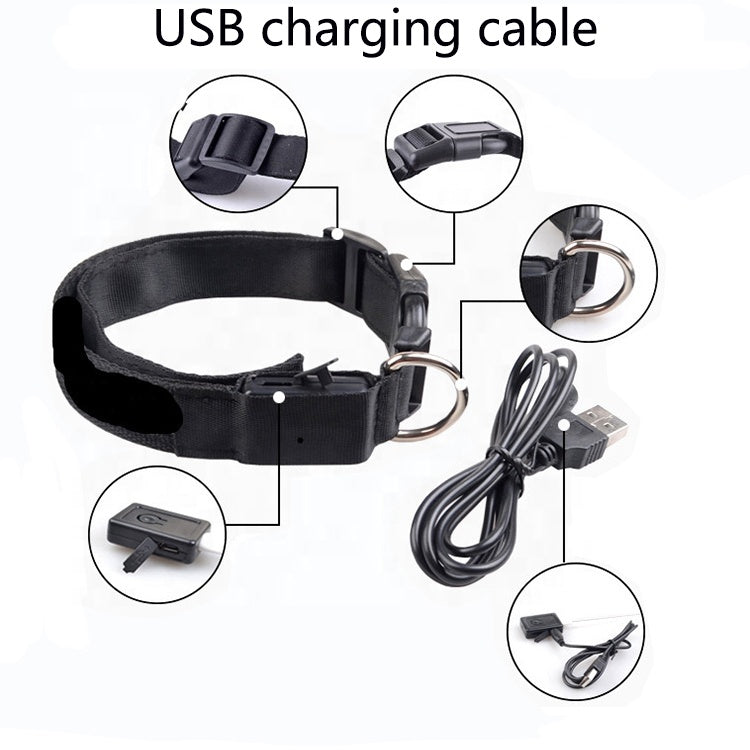 USB Rechargeable LED Dog Collar — Safety Light-Up Pet Collar for Night Walks